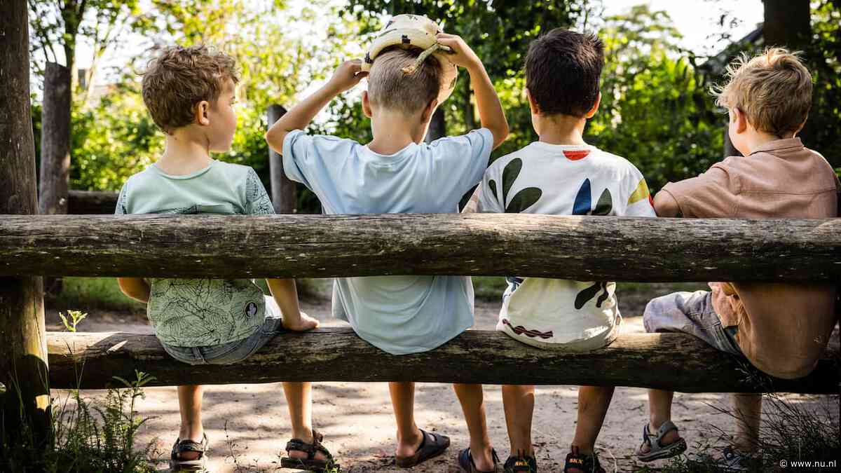 Veel scholen dicht en advies niet de weg op te gaan: de gevolgen van code rood