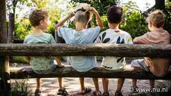 Veel scholen dicht en advies niet de weg op te gaan: de gevolgen van code rood
