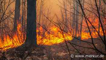 Waldbrandgefahr Stufe 4: Sonnwendfeuer auf der Neureuth fällt aus