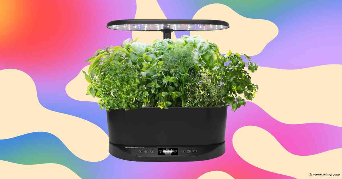 The Aerogarden I Recommend to Everyone Is Just $83 Right Now, a 63% Discount