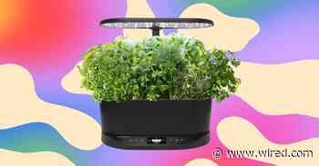 The Aerogarden I Recommend to Everyone Is Just $83 Right Now, a 63% Discount