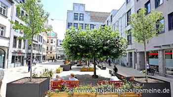 Der Augsburger Martin-Luther-Platz bekommt den Sommer über Kübelbäume