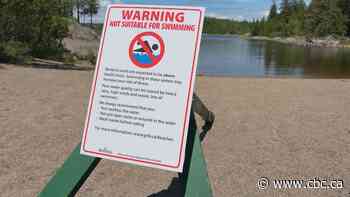 Saint John beaches reopened for swimming after being closed due to elevated bacteria levels