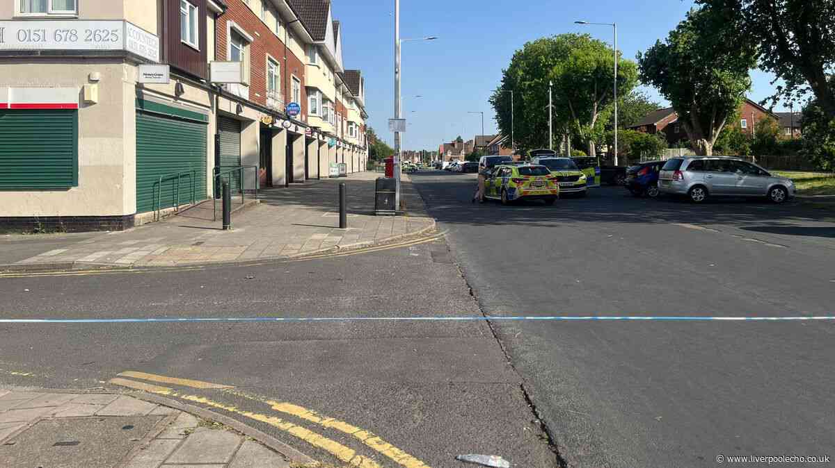 Man stabbed outside shop in Woodchurch as armed police make arrest