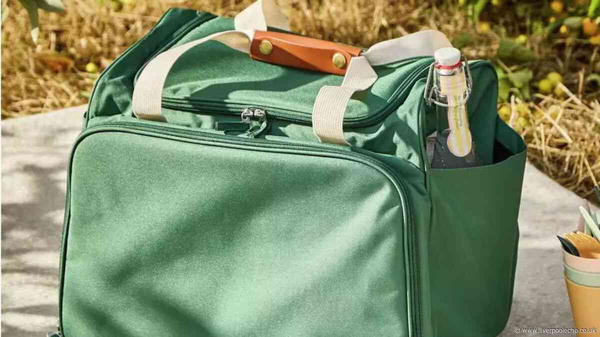 Argos shoppers nab 'perfect for picnics' cool bag for 20p in online deal
