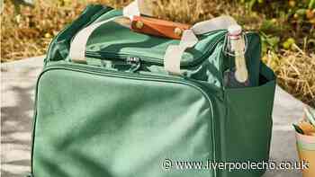 Argos shoppers nab 'perfect for picnics' cool bag for 20p in online deal