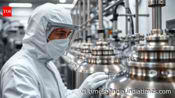 Centre eases BIS quality compliance with new risk-based framework for manufacturers