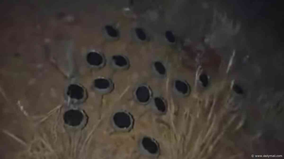 Eerie 'apocalyptic' sounds heard on Mount Shasta lead horseback riders to bizarre discovery