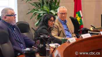 Hamilton police board member resigns, alleges 'profound failure' of oversight, mistreatment