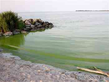 Moderately intensive algal bloom predicted for western Lake Erie starting in July