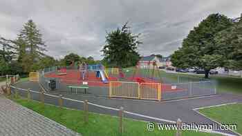 Urgent hunt launched after girl, 11, 'sexually assaulted near playground in broad daylight'