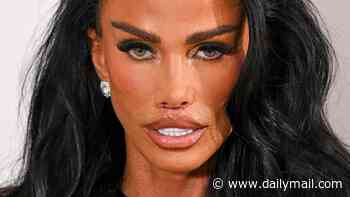 Katie Price says two of her cats 'have gone missing or been stolen' - just days after her husband Lee Andrews claimed one had died