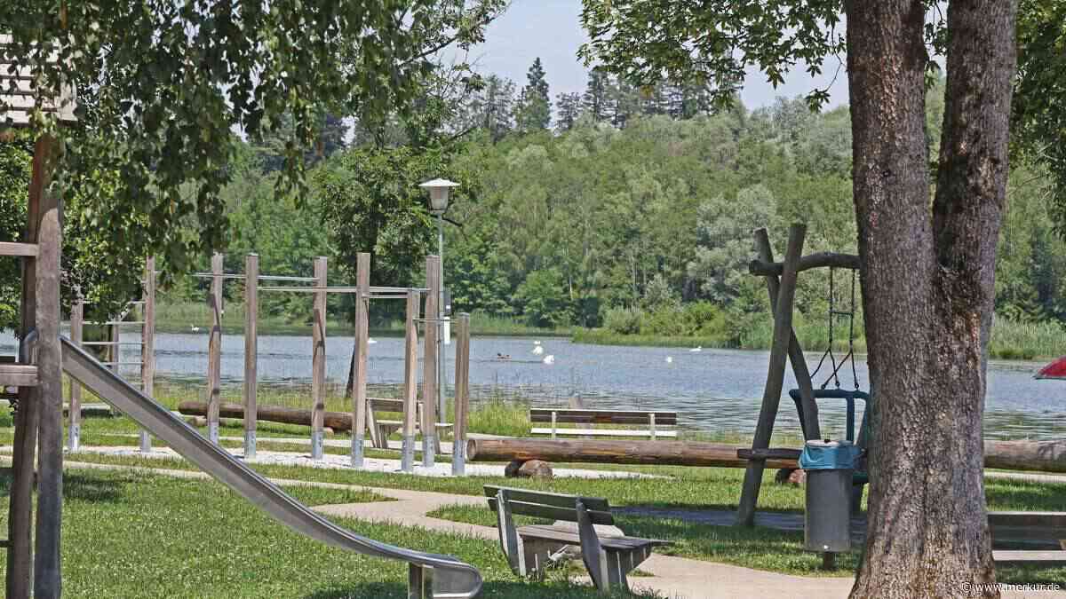 Gefahr? Schwäne kommen mit Nachwuchs auf Spielplatz  – Gemeinde sucht Lösung