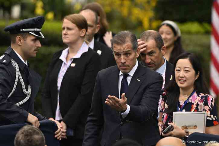 Hunter Biden Gives Democrats Sound Advice Following Shocking DSA Primary Wins