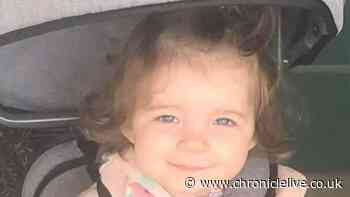 North East grandmother's 'what the hell' reaction to bruise on toddler's back days before her death