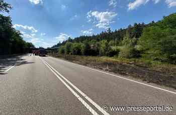 POL-PIDN: Grünfläche an der B10 in Brand
