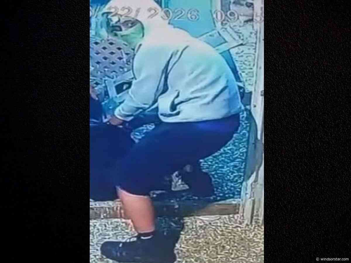 Windsor police nab one suspect in $30K exotic bird heist