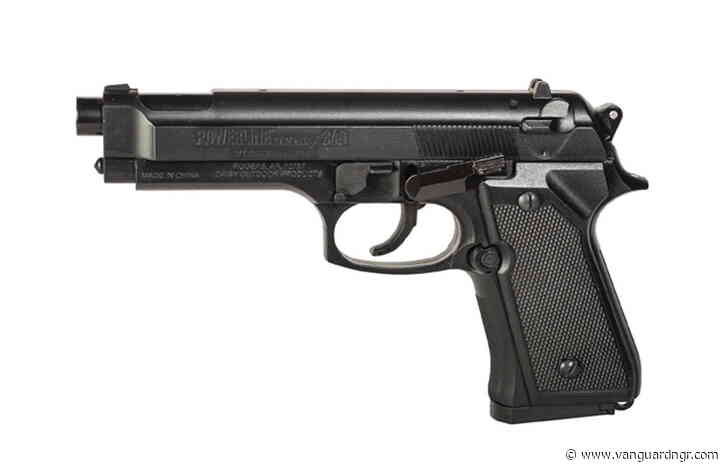 Insecurity: Liberalise gun ownership for self-defence, ex-NBA chairman urges FG
