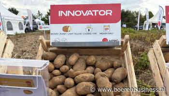 HZPC betaalt €3,05 in consumptiepool Innovator