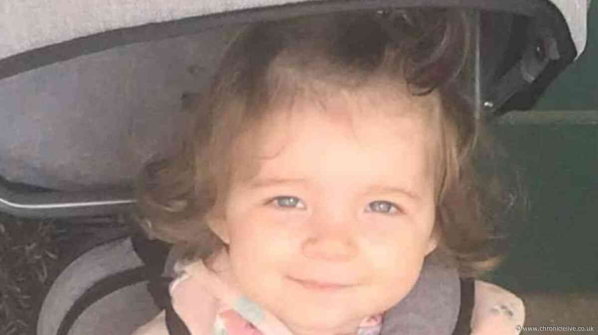 North East grandmother's 'what the hell' reaction to bruise on toddler's back days before her death