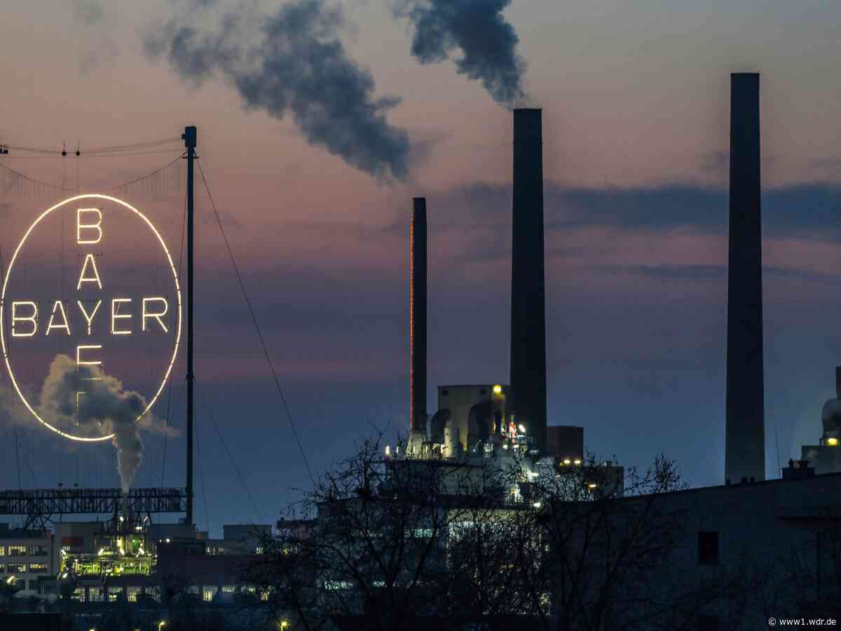 Glyphosat: Oberstes US-Gericht entscheidet für Bayer