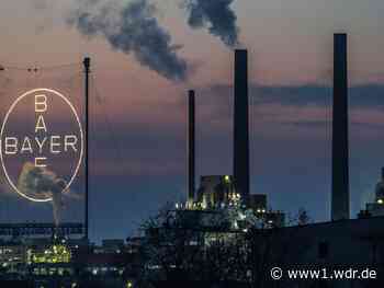 Glyphosat: Oberstes US-Gericht entscheidet für Bayer