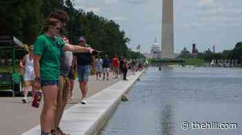 Sharp knife or razor used to cut Reflecting Pool liner: National Park Service