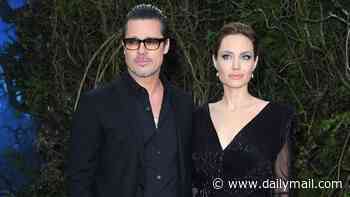 Angelina Jolie war with Brad Pitt over sale of lavish French wine estate turns in Brad's favor as secretive vodka billionaire buyer forced to testify