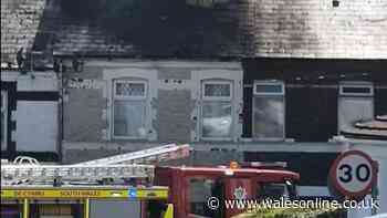 House fire in Barry uncovers huge cannabis cultivation