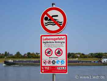 Mann schwimmt im Rhein und löst Großeinsatz aus