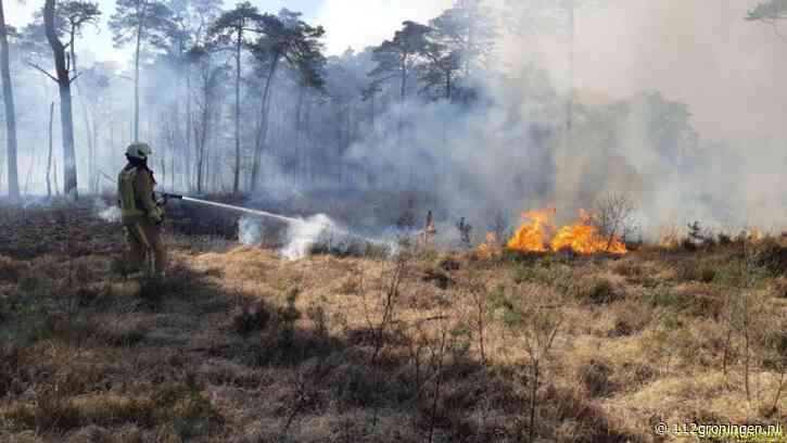 Hittegolf: Veiligheidsregio waarschuwt voor verhoogd risico op natuurbranden