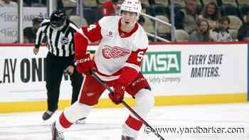Red Wings sign William Wallinder to two-year extension