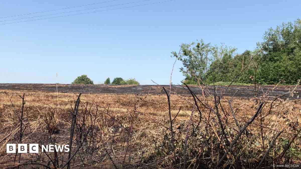 Hot weather linked to 20-acre grassland blaze