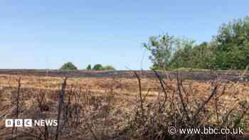 Hot weather linked to 20-acre grassland blaze
