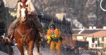 Skijor no more: Banff says so long to skijoring events as popularity strains townsite