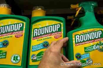 « Un coup très dur » : la Cour suprême américaine déleste potentiellement Bayer de milliers de plaintes visant son herbicide à base de glyphosate