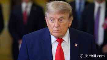 Trump no longer 'behaving like someone who cares': Haberman