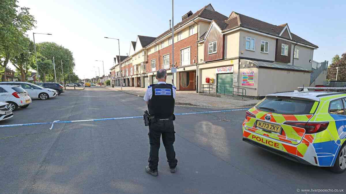 'Man in wheelchair' stabbed in Woodchurch daylight attack