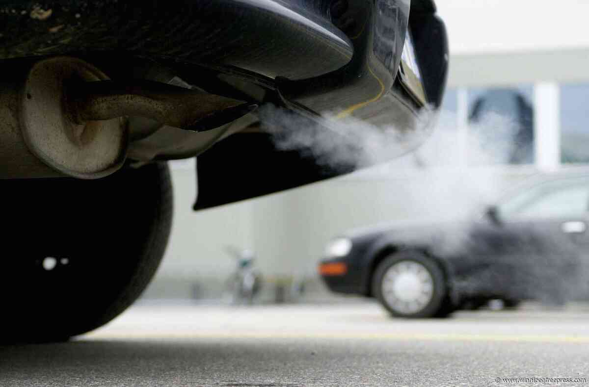 City’s greenhouse emissions rise, councillor says net-zero still within reach