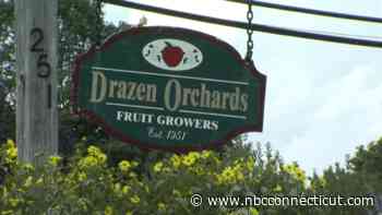 Cheshire orchard closes after 75 years in business