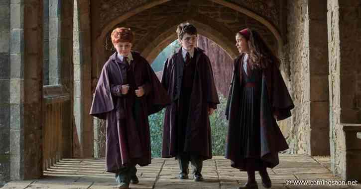 5 Harry Potter Characters Who Could Make Live-Action Debut in HBO TV Show