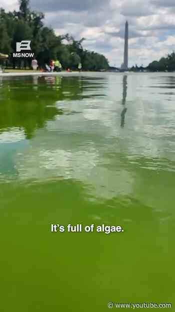 We need to talk about the reflecting pool