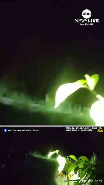 K-9 finds missing man with dementia in new video