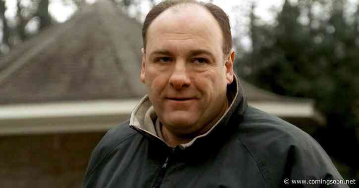 The Sopranos Just Gave Fans a Big Reason to Rewatch Beloved HBO TV Show