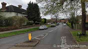 Girl, three, is found dead at home in Surrey: Man, 31, arrested on suspicion of murder
