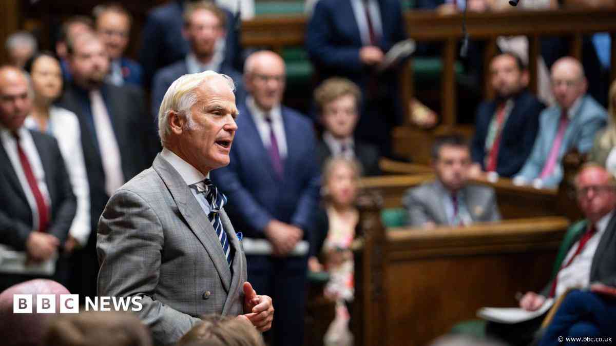 Commons tale of lion, nurse and bottle of champagne