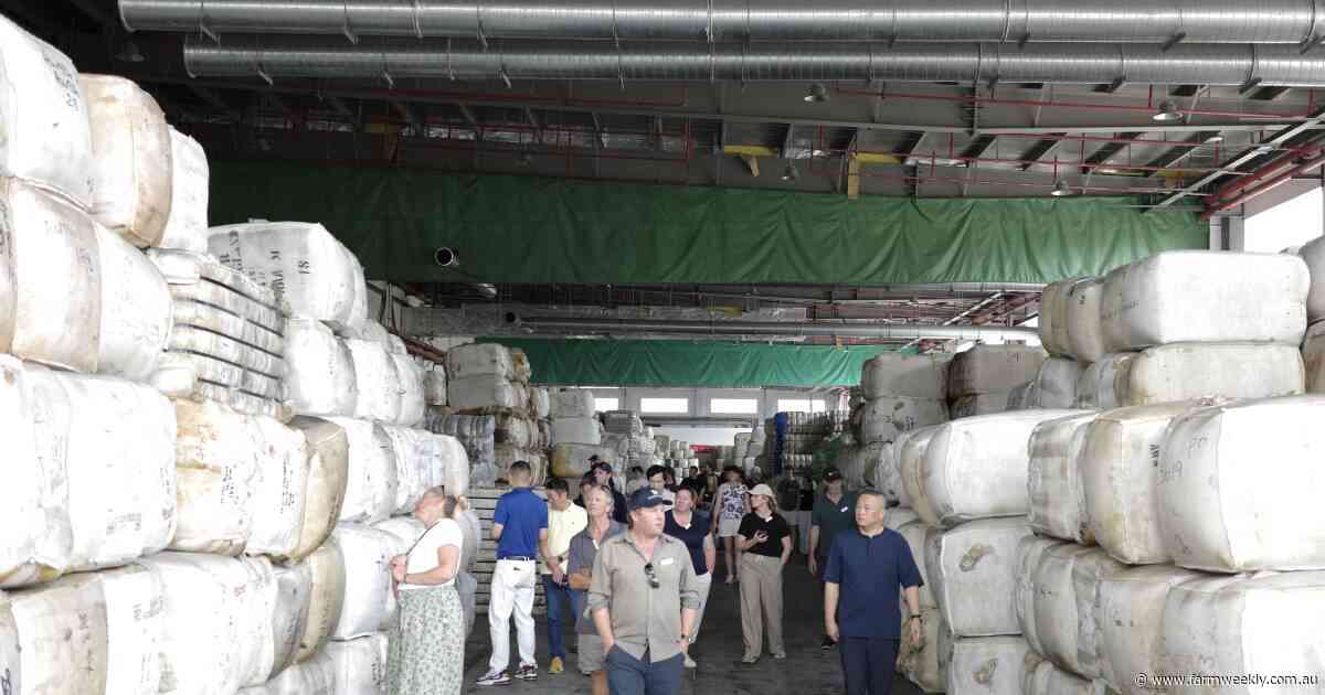 The world's in love with wool: Merino in activewear soars by 400pc in two years