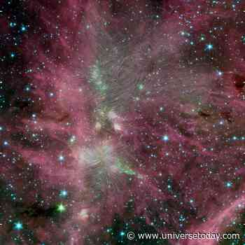 Magnetic Fields Channel Gas Through Filaments into Star Formation Sites