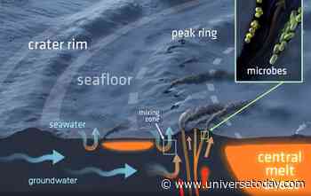 The Long-Lived Chicxulub Hydrothermal System Lasted 8 Million Years