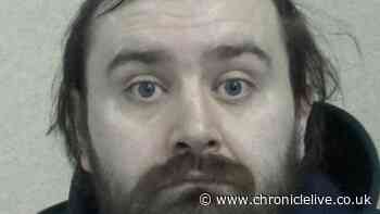 Tyneside paedophile deleted 14,000 internet search entries and had sick image of boys